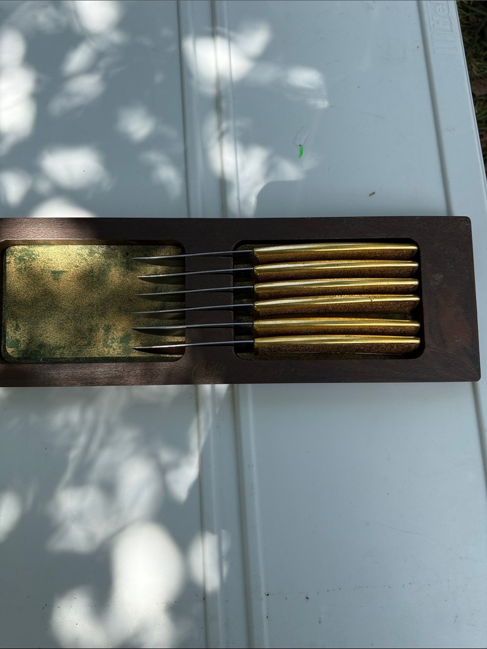 vintage Carvel Hall by Briddell steak knife set of 6